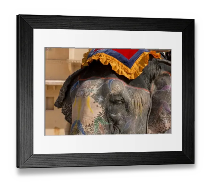 Framed Print : Elephants. Amber Fort. Jaipur. Rajasthan. India Framed Print : Elephants. Amber Fort. Jaipur. Rajasthan. India
