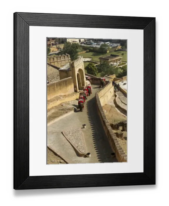 Framed Print : Elephants. Amber Fort. Jaipur. Rajasthan. India Framed Print : Elephants. Amber Fort. Jaipur. Rajasthan. India