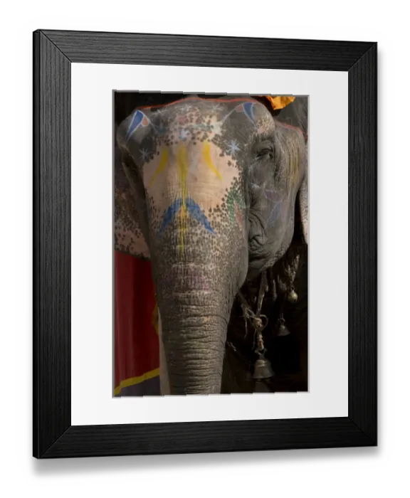 Framed Print : Elephants. Amber Fort. Jaipur. Rajasthan. India Framed Print : Elephants. Amber Fort. Jaipur. Rajasthan. India