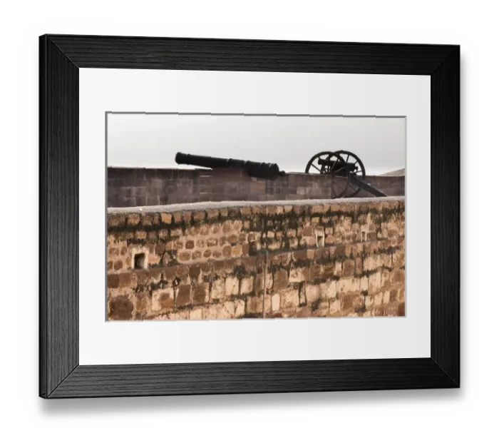 Framed Print : Canon at Mehrangarh Fort. Jodhpur. Rajasthan. India