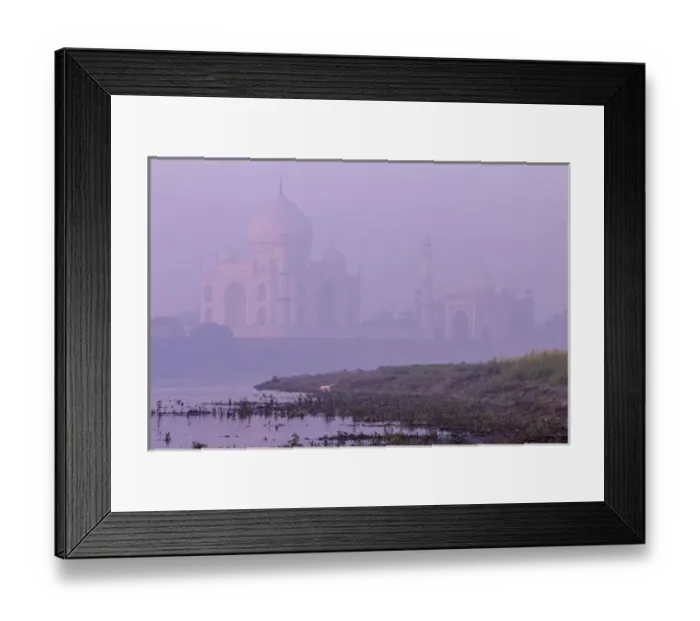 Framed Print : Taj Mahal in morning mist. Agra. India Framed Print : Taj Mahal in morning mist. Agra. India
