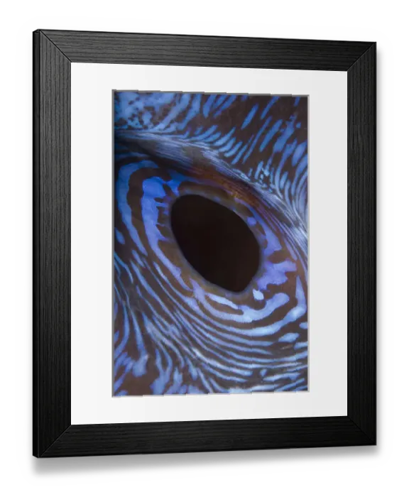 Framed Print : Indian Ocean, Indonesia, Komodo National Park Framed Print : Indian Ocean, Indonesia, Komodo National Park