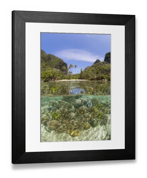 Framed Print : Indian Ocean, Indonesia, Raja Ampat, Misool Island. Split view above and below water of island Framed Print : Indian Ocean, Indonesia, Raja Ampat, Misool Island. Split view above and below water of island