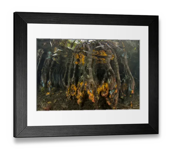 Framed Print : Indian Ocean, Indonesia, Raja Ampat, Misool Islands