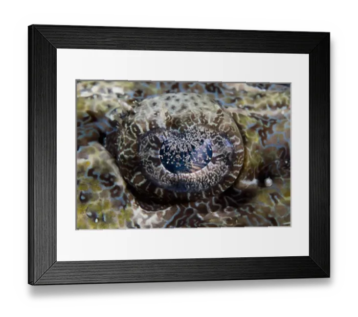 Framed Print : Indian Ocean, Indonesia, Sulawesi Island, Lembeh Straits Framed Print : Indian Ocean, Indonesia, Sulawesi Island, Lembeh Straits