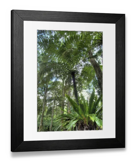 Framed Print : Indonesia, Bali. View of vegetation in Bali Botanical Gardens Framed Print : Indonesia, Bali. View of vegetation in Bali Botanical Gardens
