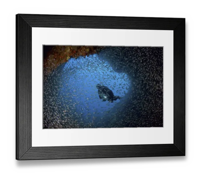 Framed Print : Indonesia, Papua, Raja Ampat. Schooling baitfish and diver at cave entrance. Credit as Framed Print : Indonesia, Papua, Raja Ampat. Schooling baitfish and diver at cave entrance. Credit as