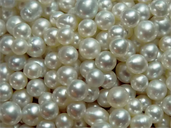 Indonesia, Papua, Raja Ampat. Bowl of pearls cultured from silver-lipped pearl oysters
