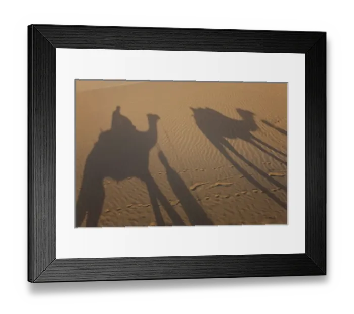 Framed Print : Shadows of a camel train, Thar Desert, Rajasthan, India Framed Print : Shadows of a camel train, Thar Desert, Rajasthan, India