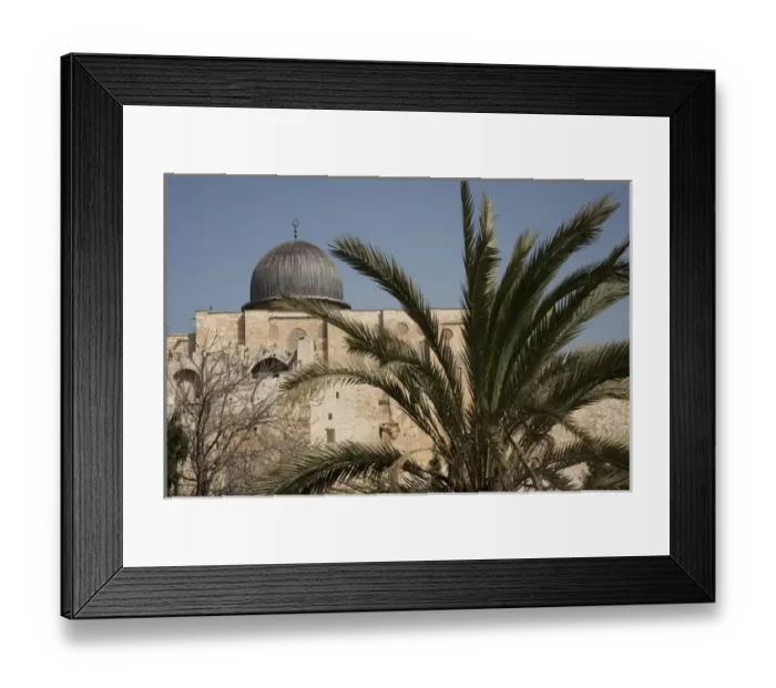 Framed Print : Palm tree and walls of The City of David, Jerusalem, Israel