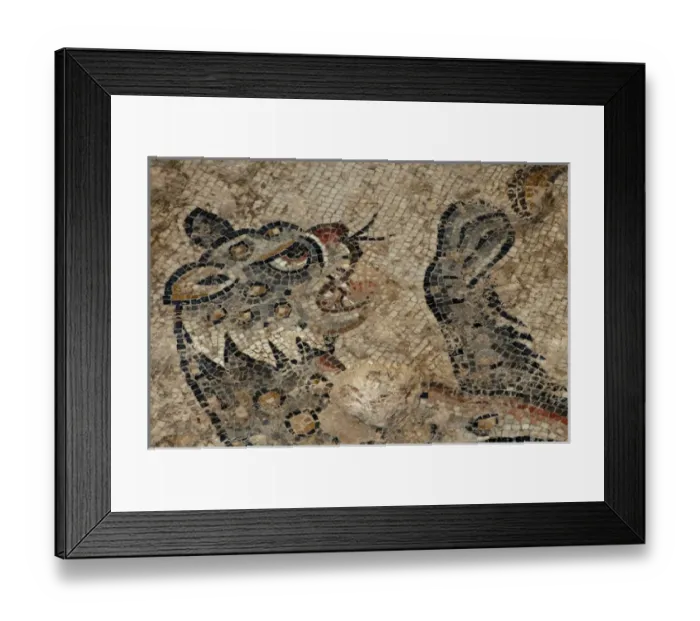 Framed Print : Israel, Lower Galilee, floor mosaic of a tiger from the mishnaic period at Zippori Framed Print : Israel, Lower Galilee, floor mosaic of a tiger from the mishnaic period at Zippori