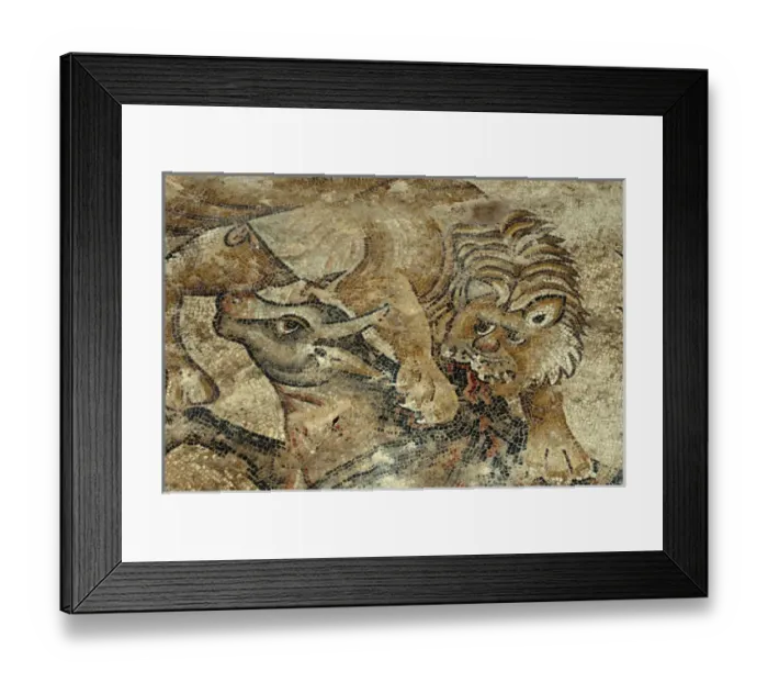Framed Print : Israel, Lower Galilee, floor mosaic of a tiger attacking a cow from the mishnaic Framed Print : Israel, Lower Galilee, floor mosaic of a tiger attacking a cow from the mishnaic