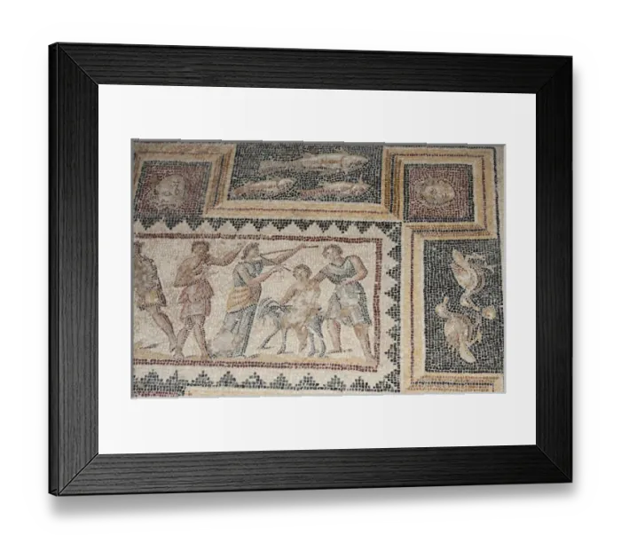 Framed Print : Israel, Lower Galilee, floor mosaic from the mishnaic period at Zippori National Park