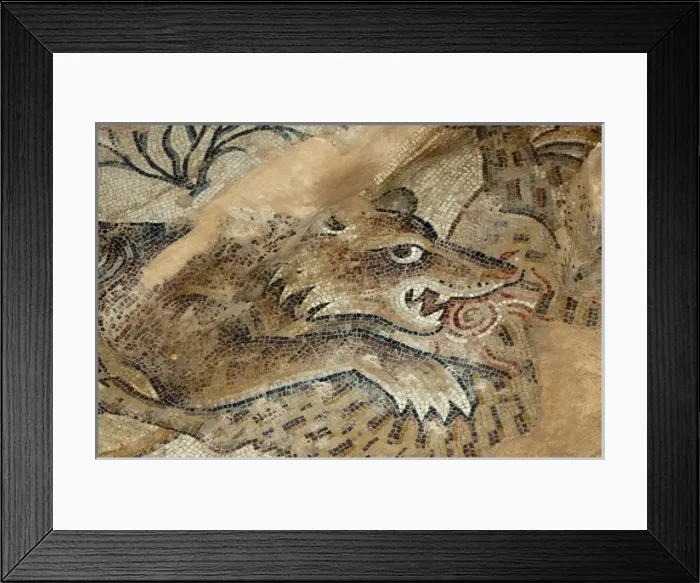 Framed Print : Israel, Lower Galilee, floor mosaic of an animal from the mishnaic period at Zippori Framed Print : Israel, Lower Galilee, floor mosaic of an animal from the mishnaic period at Zippori
