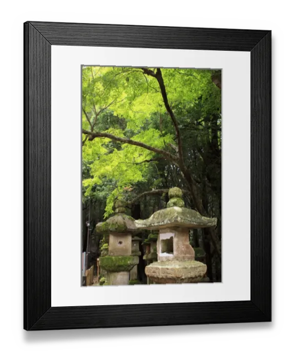 Framed Print : Kasuga-Taisha Shrine in Nara, Japan is famous for its large number of ancient stone