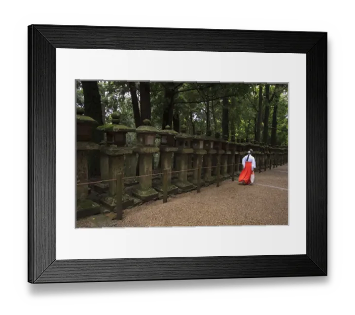 Framed Print : A female shrine attendant walks past a long row of decorative stone lanterns at Kasuga Framed Print : A female shrine attendant walks past a long row of decorative stone lanterns at Kasuga