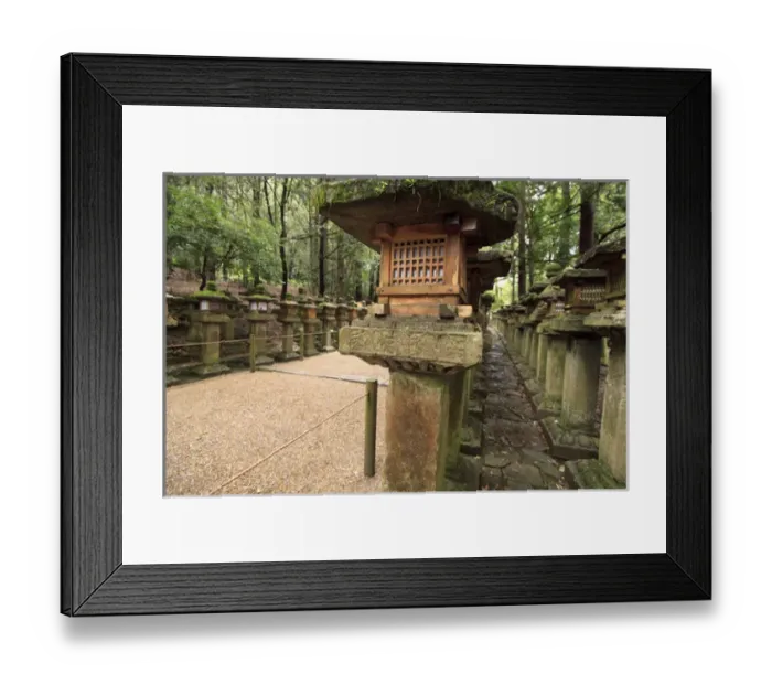 Framed Print : Kasuga Taisha Shrine in Nara, Japan is famous for its large number of decorate stone lanterns Framed Print : Kasuga Taisha Shrine in Nara, Japan is famous for its large number of decorate stone lanterns