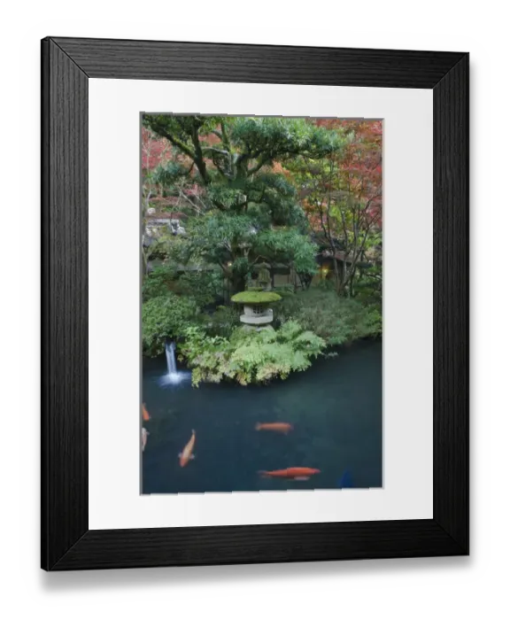 Framed Print : Japan, Tokyo, Japanese Garden Framed Print : Japan, Tokyo, Japanese Garden