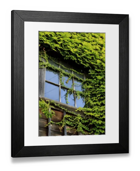 Framed Print : Otaru is famous for its old stone architecture and quaint little shops. Hokkaido, Japan Framed Print : Otaru is famous for its old stone architecture and quaint little shops. Hokkaido, Japan
