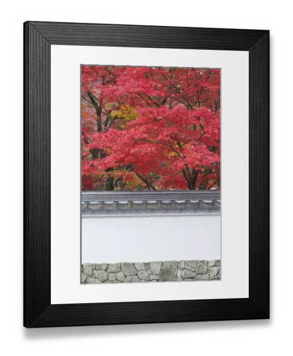 Framed Print : Japan, Kyoto, Autumn Color at Eikando Temple Framed Print : Japan, Kyoto, Autumn Color at Eikando Temple