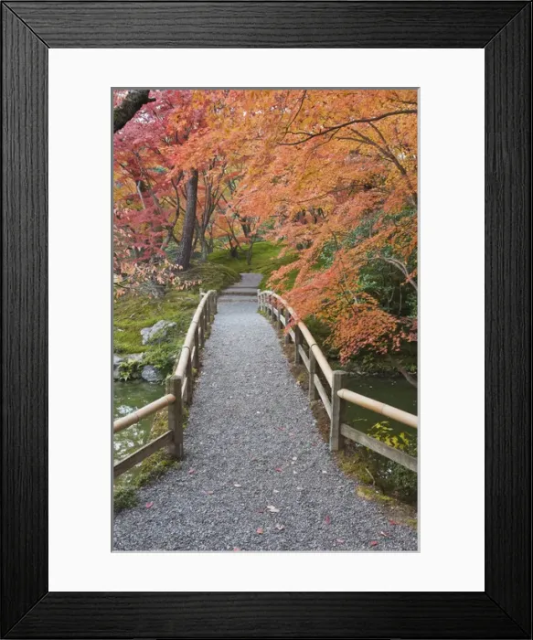 Framed Print : Japan, Kyoto, Sento Imperial Palace Garden Framed Print : Japan, Kyoto, Sento Imperial Palace Garden
