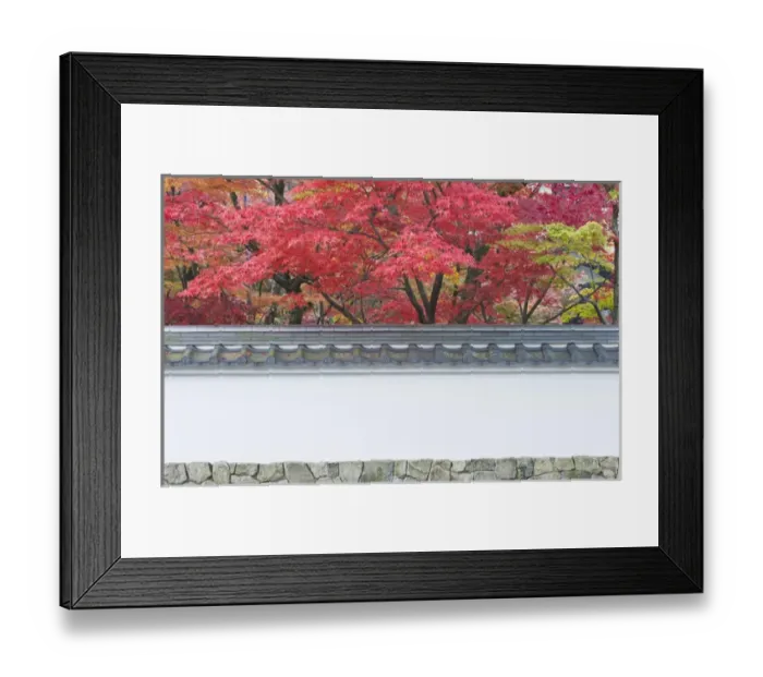 Framed Print : Japan, Kyoto, Autumn Color at Eikando Temple Framed Print : Japan, Kyoto, Autumn Color at Eikando Temple