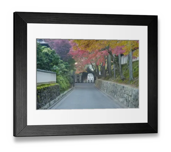 Framed Print : Japan, Kyoto, Autumn Color at Tofukuji Temple