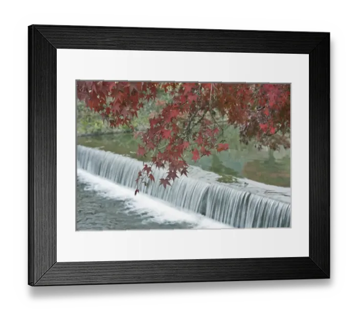 Framed Print : Japan, Kyoto, Arashiyama, Maple Leaves and Waterfall Framed Print : Japan, Kyoto, Arashiyama, Maple Leaves and Waterfall