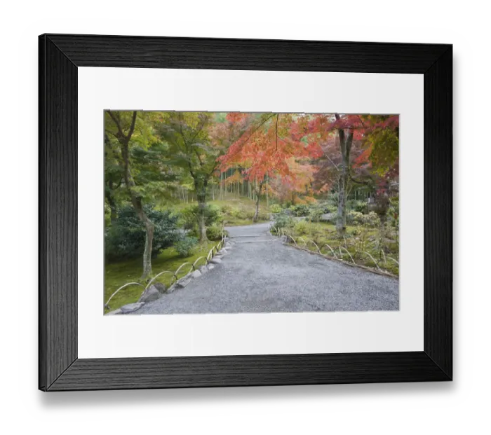 Framed Print : Japan, Kyoto, Arashiyama, Sagano, Tenryuji Temple Garden