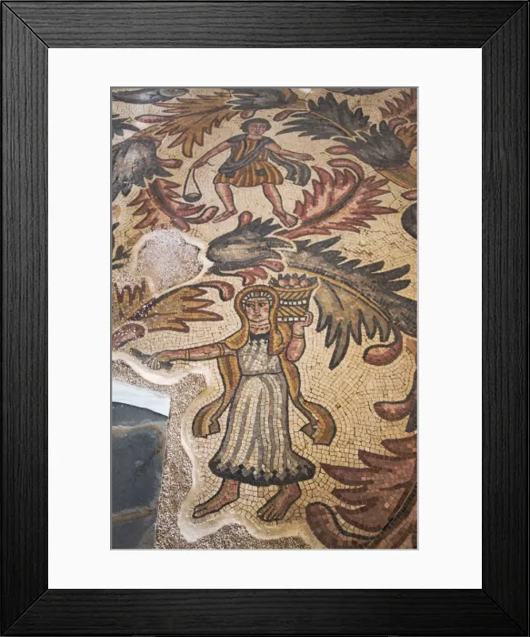 Framed Print : Old Baptistery floor mosaic in Moses Memorial Church, Amman, Jordan Framed Print : Old Baptistery floor mosaic in Moses Memorial Church, Amman, Jordan