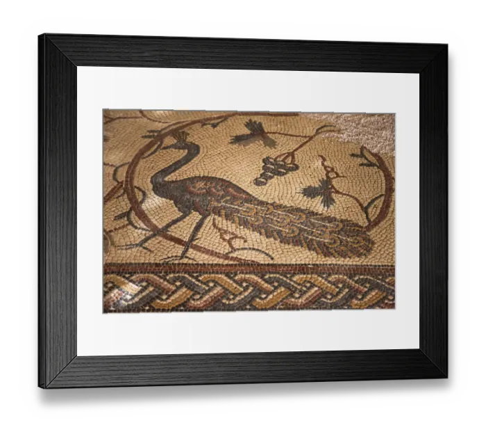 Framed Print : Old Baptistery floor mosaic in Moses Memorial Church, Amman, Jordan Framed Print : Old Baptistery floor mosaic in Moses Memorial Church, Amman, Jordan