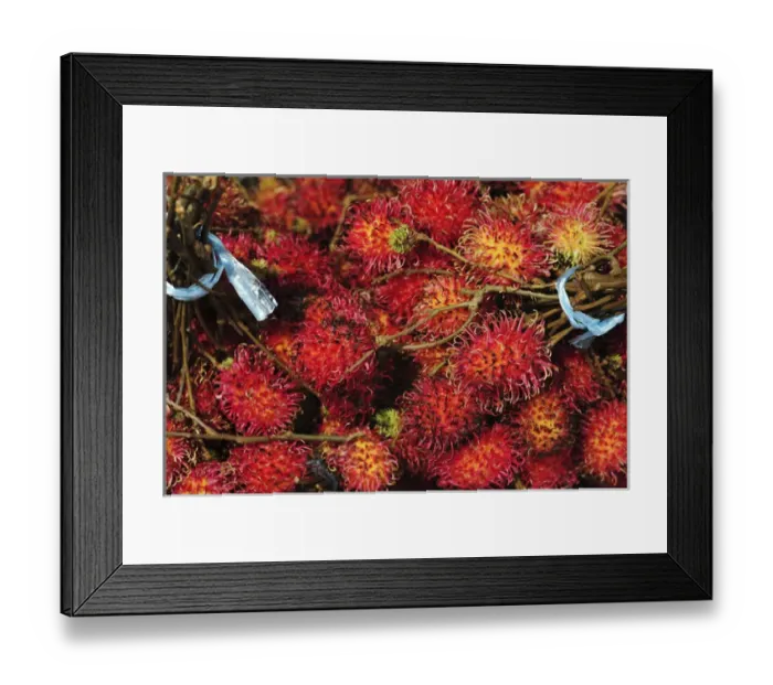 Framed Print : Malaysia, Borneo, Semporna, red ramboutan Framed Print : Malaysia, Borneo, Semporna, red ramboutan