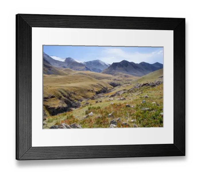 Framed Print : Asia, Mongolia, Western Mongolia, Bayan Olgii Province, Gashuun Suhayt. River valley Framed Print : Asia, Mongolia, Western Mongolia, Bayan Olgii Province, Gashuun Suhayt. River valley