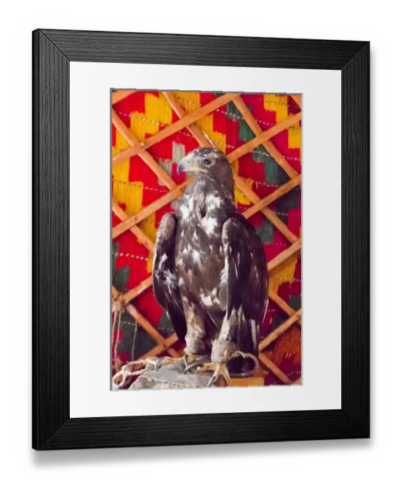 Framed Print : Asia, Mongolia, Western Mongolia, Bayan Olgii, Gashuun Suhayt Framed Print : Asia, Mongolia, Western Mongolia, Bayan Olgii, Gashuun Suhayt