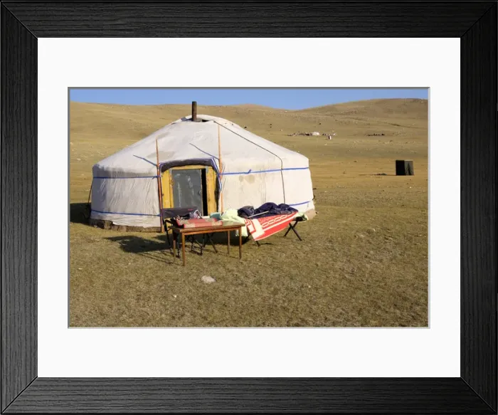 Framed Print : Asia, Mongolia, Bayan-Olgii, setting up and dismantling a Ger / yurt. Editorial Only Framed Print : Asia, Mongolia, Bayan-Olgii, setting up and dismantling a Ger / yurt. Editorial Only
