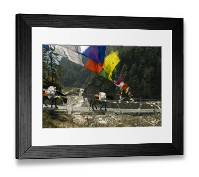 Framed Print : Larja Bridge, Khumbu, Nepal. A mule train hauls supplies over the Larja Bridge