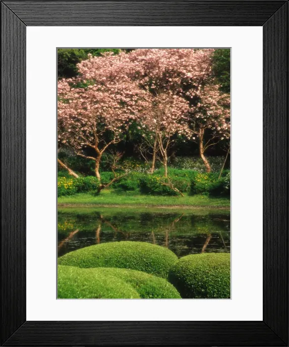 Framed Print : Asia, Japan, Tokyo. Reflecting pond, Imperial Palace East Gardens Framed Print : Asia, Japan, Tokyo. Reflecting pond, Imperial Palace East Gardens