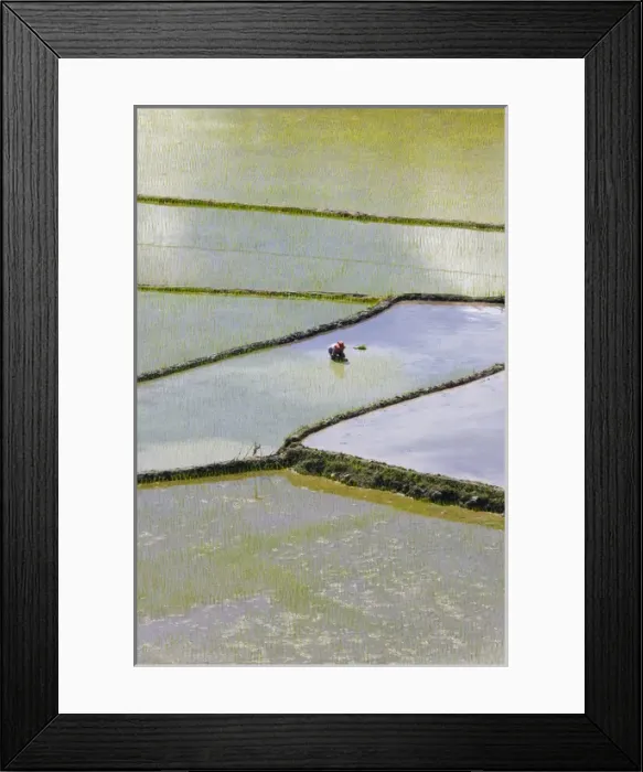 Framed Print : The Rice Terraces of the Philippine Cordilleras, UNESCO World Heritage site. Banaue Framed Print : The Rice Terraces of the Philippine Cordilleras, UNESCO World Heritage site. Banaue