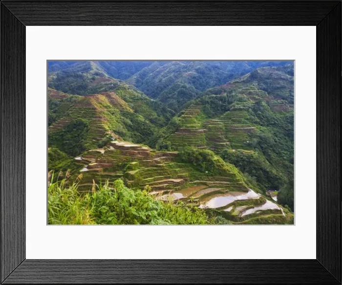 Framed Print : The Rice Terraces of the Philippine Cordilleras, UNESCO World Heritage site, Banaue