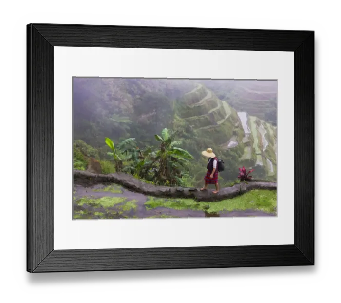 Framed Print : Igorot tribal woman with the Rice Terraces of the Philippine Cordilleras, UNESCO Framed Print : Igorot tribal woman with the Rice Terraces of the Philippine Cordilleras, UNESCO