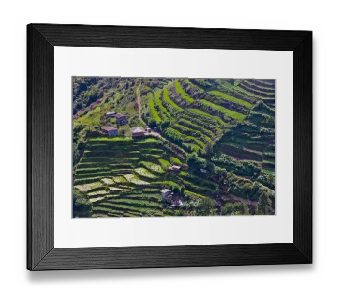 Framed Print : The Rice Terraces of the Philippine Cordilleras, UNESCO World Heritage site, Banaue