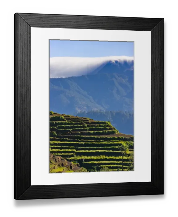 Framed Print : The Rice Terraces of the Philippine Cordilleras, UNESCO World Heritage site, Banaue Framed Print : The Rice Terraces of the Philippine Cordilleras, UNESCO World Heritage site, Banaue