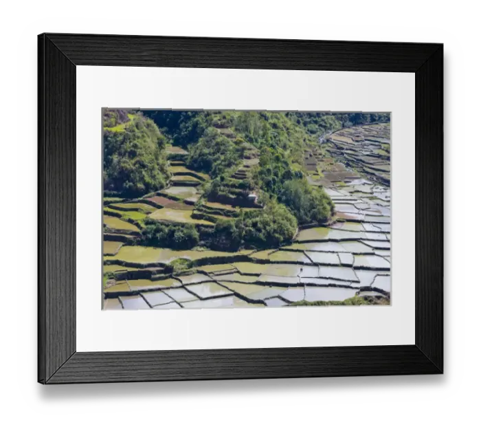 Framed Print : The Rice Terraces of the Philippine Cordilleras, UNESCO World Heritage site, Banaue Framed Print : The Rice Terraces of the Philippine Cordilleras, UNESCO World Heritage site, Banaue