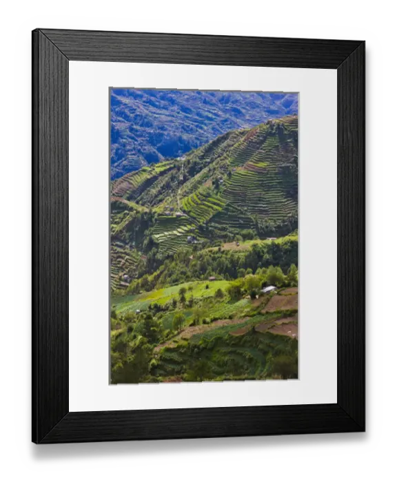 Framed Print : The Rice Terraces of the Philippine Cordilleras, UNESCO World Heritage site, Banaue Framed Print : The Rice Terraces of the Philippine Cordilleras, UNESCO World Heritage site, Banaue