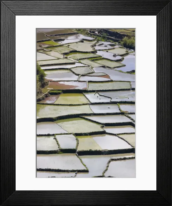 Framed Print : The Rice Terraces of the Philippine Cordilleras, UNESCO World Heritage site, Banaue Framed Print : The Rice Terraces of the Philippine Cordilleras, UNESCO World Heritage site, Banaue