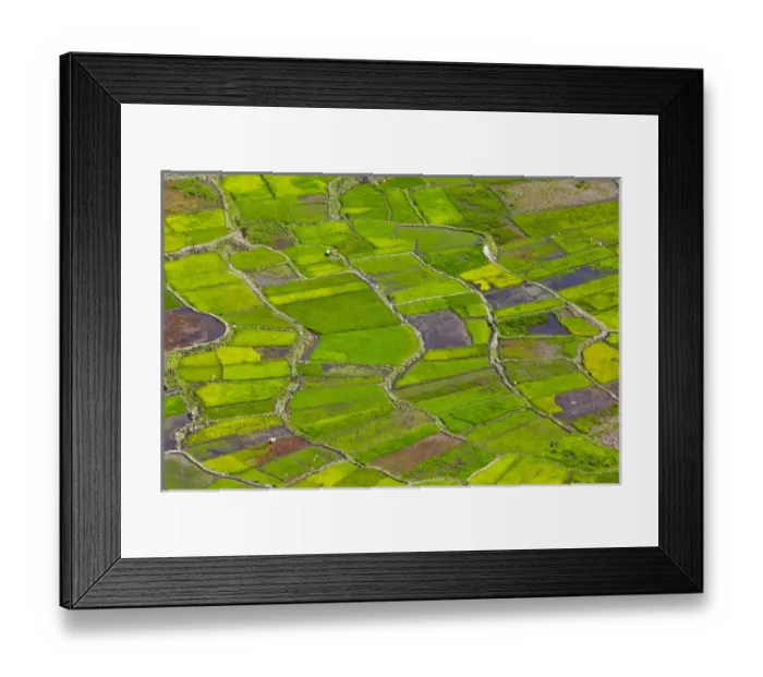 Framed Print : The Rice Terraces of the Philippine Cordilleras, UNESCO World Heritage site, Banaue