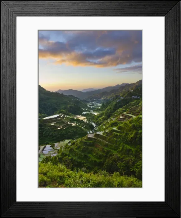 Framed Print : The Rice Terraces of the Philippine Cordilleras, UNESCO World Heritage site, Banaue Framed Print : The Rice Terraces of the Philippine Cordilleras, UNESCO World Heritage site, Banaue