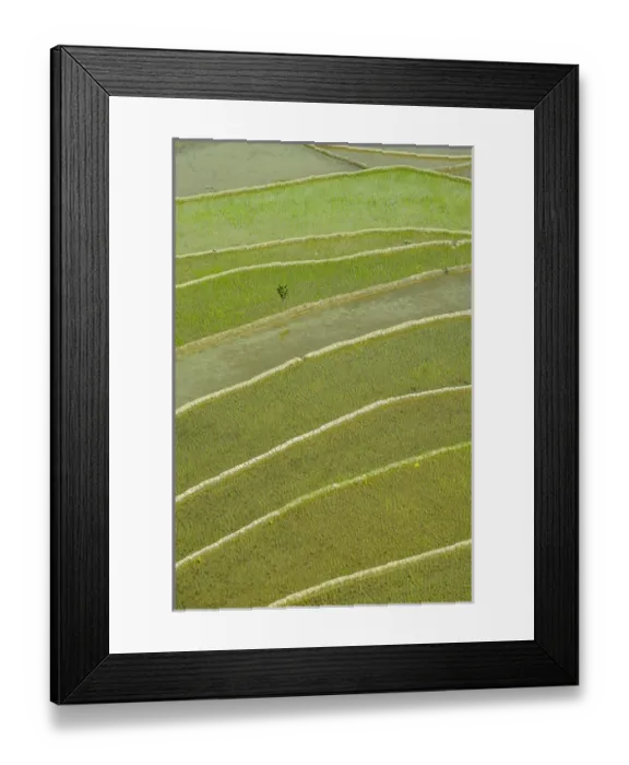 Framed Print : Unesco world heritage sight the rice terraces of Banaue, Northern Luzon, Philippines