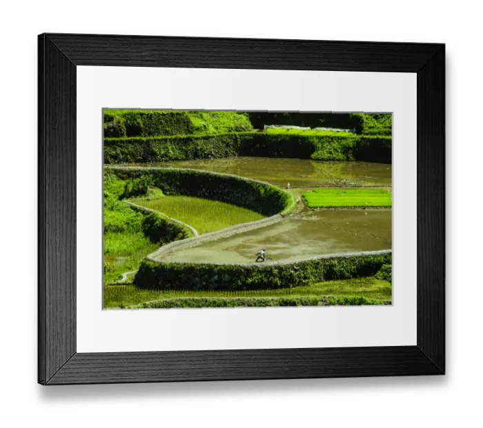 Framed Print : Unesco world heritage sight the rice terraces of Banaue, Northern Luzon, Philippines