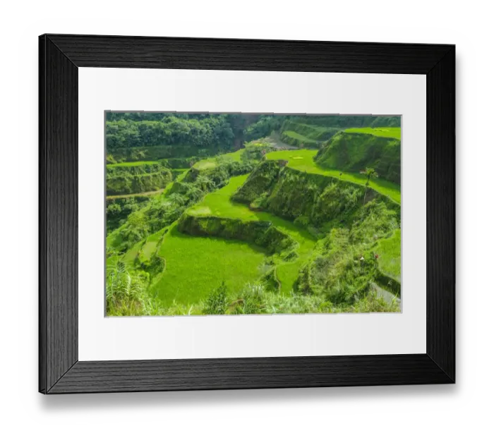 Framed Print : Hapao rice terraces part of the world heritage sight Banaue, Luzon, Philippines Framed Print : Hapao rice terraces part of the world heritage sight Banaue, Luzon, Philippines